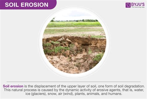 soil erosion effects on living things|Major Causes and Effects of Soil Erosion on the .